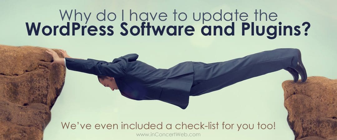 Why do I have to update the WordPress Software and Plugins?