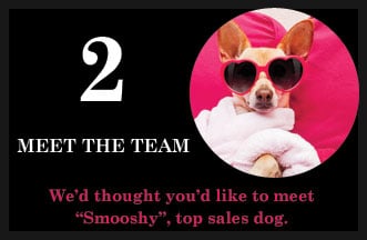 Meet The Team: Meet The Team: