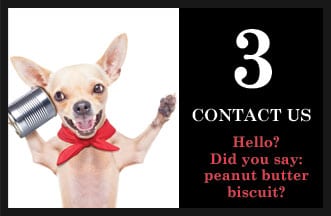 Contact us: Contact us: