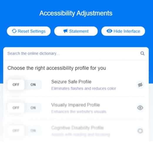 Screenshot of the The Accessibility Interface